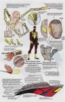 IronSpiderArmorV1.1fromOfficialHandbookoftheMarvelUniverseV[...].jpg