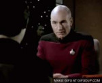 picard facepalm.gif