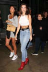 emily-ratajkowski-la-lakers-game-11-07-2018-2.jpg