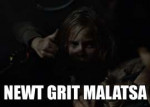 Newt grit malatsa.jpg