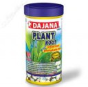 dajana plant root.jpg