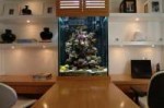 Dining-room-with-Aquarium-Design.jpg