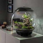 lrgscaleBiOrb-Terrarium-60L-Grey-002[1].jpg