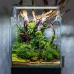 45-Nano-Planted-Tank-Design-Inspirations-to-Displayed-at-th[...].jpg