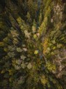 DJI0129 Panorama