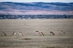 Laramie, WY.jpg