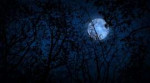 moving-through-scary-woods-looking-up-at-full-moon4ymxqcpaF[...].png