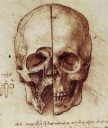 Leonardo-da-Vinci-the-Anatomical-Artist6