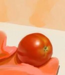 tomatostudy.jpg