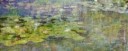 Monet-Lilies-16x40-Brian-Coffey-Featured-ArtRage-Artist.jpg