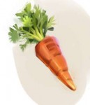 carrot.jpg