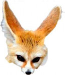 fennecface.png