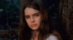 pretty-baby-brooke-shields.gif