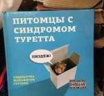 синдром-Туретта-пиздёж-песочница-974634.jpeg