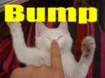 bumpkitty.jpg