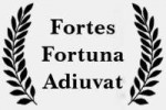 fortunefavorsthebravefortesfortunaadiuvattshirt-r495212e605[...].jpg