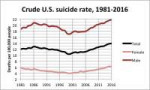 CrudeU.S.suiciderate19812016.png