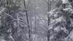 winter.webm