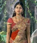 Sonarika-Bhadoria-Photo-in-Sareec-300x350.jpg