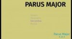 ParusMajor 2018-09-03 18-14-41-77.jpg