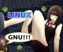 linux34.png