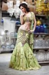 0f1001b0254d739046f1ccf3b69465ae--bridal-lehenga-belly-danc[...].jpg