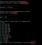 shadowsocks-teddy-sun-script-initial-config-1.png