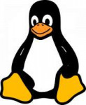 linux-2025130960720.png