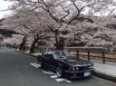 14883765254980 pink tree black bmw japan 8 series coupe.jpg