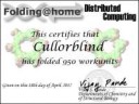 cert.Cullorblind.952.jpg