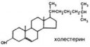 1himicheskaya-strukturnaya-formula-holesterina-svoystva-str[...].gif