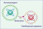 svobodnye-radikaly-i-antioksidanty[1].jpg