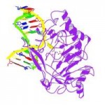 5d9y.pdb1-500[2].jpg