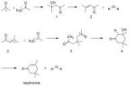 SynthesisofIsophoroneusingaself-condensationreaction.jpg