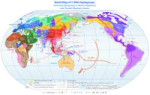 WorldMapofY-DNAHaplogroups.png