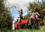 Ural+Sidecar+Motorcycle+at+the+Orchard.jpg