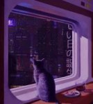 cyberpunk cat rain.gif