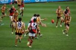 BallisindisputeinHawthorn-EssendonAFLmatch.jpg