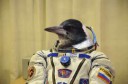 magpie astronaut