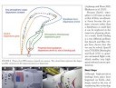 F9 Phases