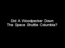 Did A Woodpecker Shoot Down The Space Shuttle-Zup3XN90xSg