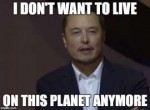 051560dda148f5f99c19a58566dc6545--elon-musk-memes.jpg