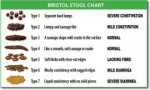 BristolStoolChart.png