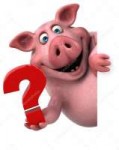 depositphotos126025976-stock-photo-pig-holding-question-mark.jpg