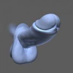 penis3dmodelc4dmaxobjfbxmalwo3ds3dmstl1361138o.jpg