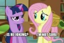 37769 - fluttershy joke macro twilightsparkle