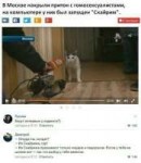 притон с котом.jpg