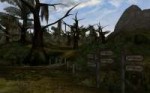 Morrowind 2018-06-24 17.49.46.093.png