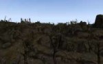 Morrowind 2018-07-03 00.34.50.069.png