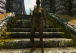 skyrim gameplay.webm